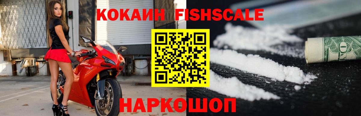 Cocaine Fish Scale Шебекино
