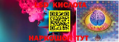 прущие грибы Канаш