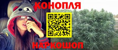 прущие грибы Канаш