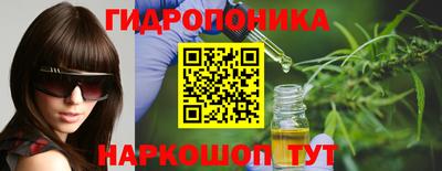 прущие грибы Канаш