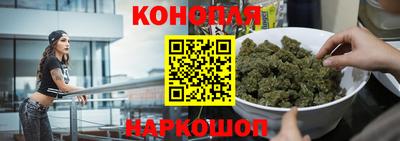 прущие грибы Канаш