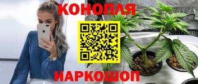 стаф Кинель