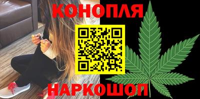 прущие грибы Канаш