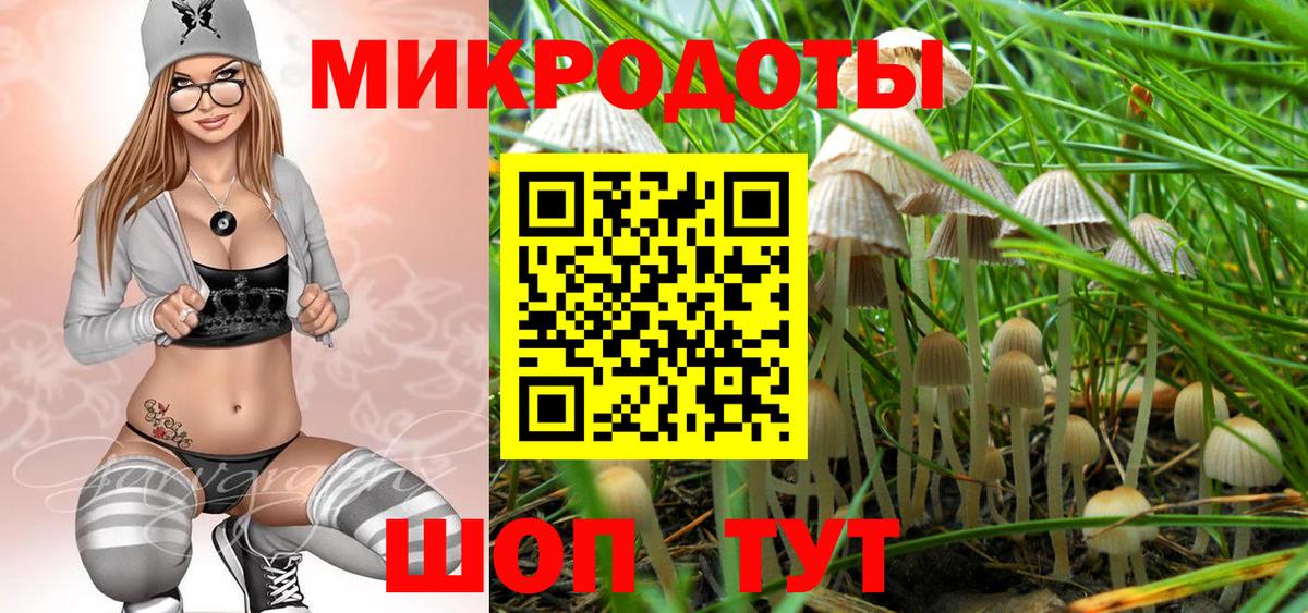 Псилоцибиновые грибы ЛСД Шебекино