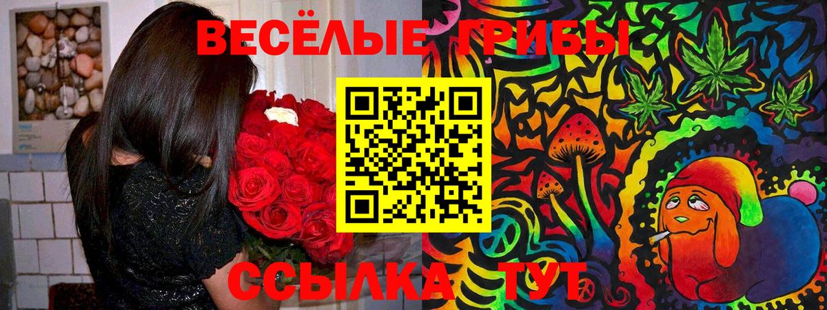 Псилоцибиновые грибы ЛСД  Вход с VPN  Шебекино 
